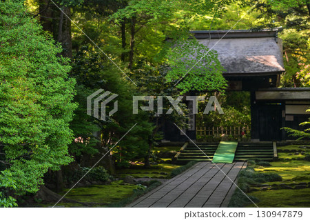 Deep green Daijoji Temple Deep green Daijoji Temple 130947879