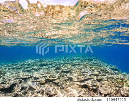 一艘雙體遊艇潛水遊輪的部分水下照片。美麗的珊瑚礁和成群的熱帶魚。沖繩縣島尻喀拉 130947915