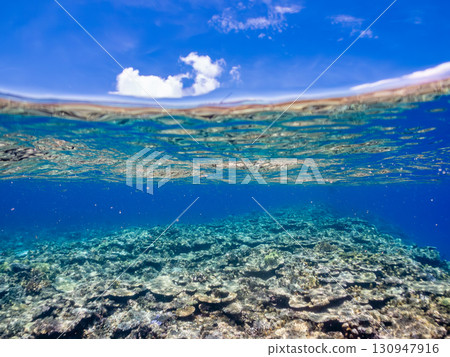 一艘雙體遊艇潛水遊輪的部分水下照片。美麗的珊瑚礁和成群的熱帶魚。沖繩縣島尻喀拉 130947916