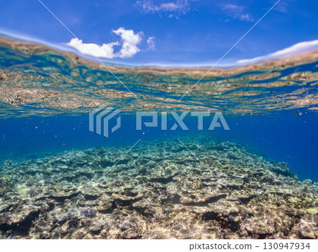Partially submerged shot of a catamaran yacht diving cruise ship. Beautiful coral reefs and schools of tropical fish. Kera, Shimajiri District, Okinawa Prefecture Partially submerged shot of a catamaran yacht diving cruise ship. Beautiful coral reefs and schools of tropical fish. Kera, Shimajiri District, Okinawa Prefecture 130947934