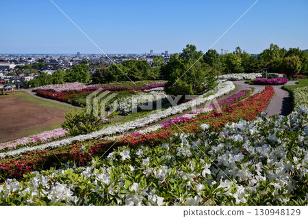 Azalea of the Daijyoji Hillside Park 130948129