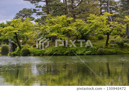 Kanrokuen's Spring 130948472