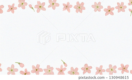 Illustration of cherry blossoms drawn in watercolor 130948615