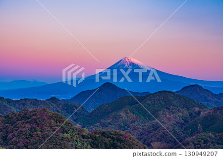 [靜岡縣]伊豆國、葛城山、富士山 - 牽牛花 130949207