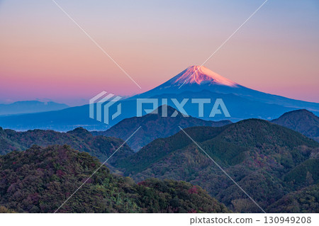 [靜岡縣]伊豆國、葛城山、富士山 - 牽牛花 130949208