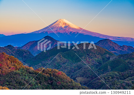 [Shizuoka Prefecture] Izu Province, Mount Katsuragi and Mount Fuji - Morning Glory 130949211
