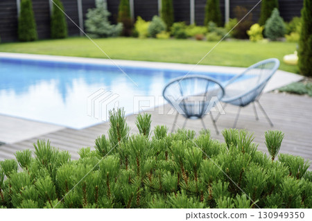 Scenic Backyard with Chairs and Green Bushes by the Pool 130949350