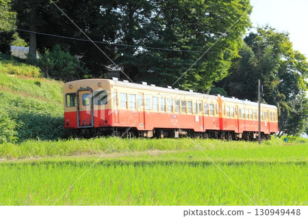 Kiha 200 running through rice fields in early autumn 130949448