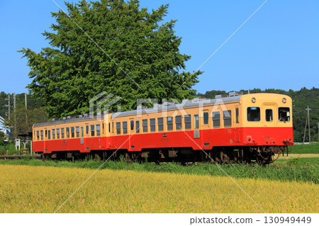 A Kiha 200 glides into Kazusakubo Station, surrounded by rice fields. 130949449