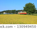 Kiha 200 train stops at Kazusakubo Station, surrounded by rice fields 130949450