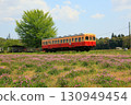 Kiha 200 departs Kazusakubo Station, surrounded by fields of Chinese milk vetch 130949454