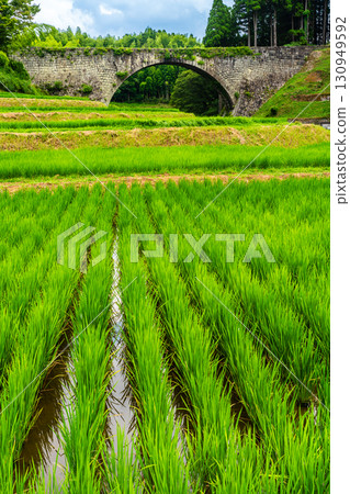 Tsujun Bridge, surrounded by fresh greenery [Yamato Town, Kamimashiki District, Kumamoto Prefecture] 130949592