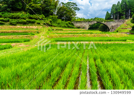 Tsujun Bridge, surrounded by fresh greenery [Yamato Town, Kamimashiki District, Kumamoto Prefecture] 130949599