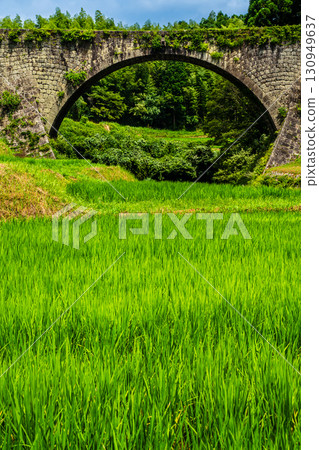 Tsujun Bridge, surrounded by fresh greenery [Yamato Town, Kamimashiki District, Kumamoto Prefecture] 130949637
