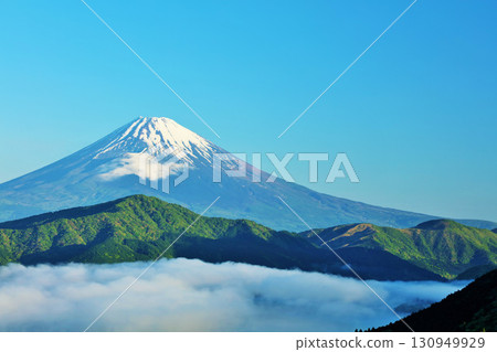 Autumn morning: Mount Fuji and sea of clouds from Hakone 130949929