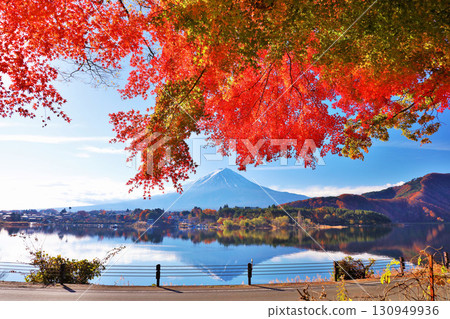 Autumn leaves and Mt. Fuji 130949936
