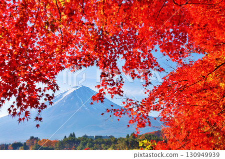 秋葉和富士山 秋葉和富士山 130949939
