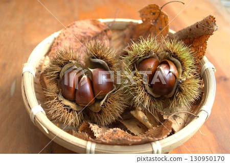 Chestnuts in the basket Chestnuts in the basket 130950170