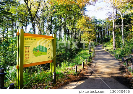 柏町市民之森 130950466