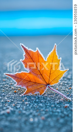 Close-up view of a frosted autumn leaf on the ground. 130950859