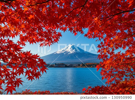 Mt. Fuji and Autumn Leaves | Stunning Autumn Scenery, Japanese Tourist Attractions, and Landscape Photos that Capture the Four Seasons 130950990