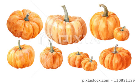 Watercolor illustration of various pumpkins in different sizes showcasing vibrant orange hues and natural textures. Isolated on transparent background. PNG, cutout 130951159