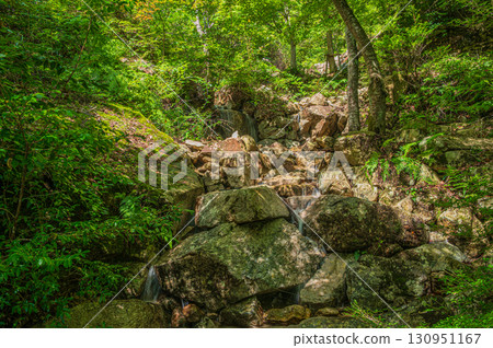 滋賀縣大津市北小松溪，位於楊柏瀑布下游 130951167