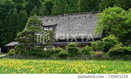 Spring scenery at the Iwase family home in Gokayama 130951259