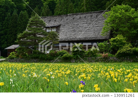 Spring scenery at the Iwase family home in Gokayama 130951261