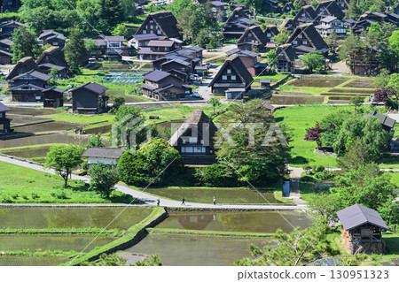 Spring Shirakawa-go with beautiful greenery Spring Shirakawa-go with beautiful greenery 130951323