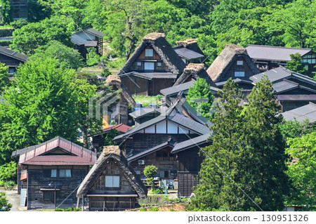 綠意盎然的春天白川鄉 130951326