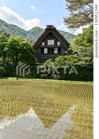Spring Shirakawa-go with beautiful greenery 130951344
