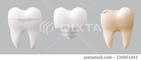 Realistic tooth collection Realistic tooth collection 130951843