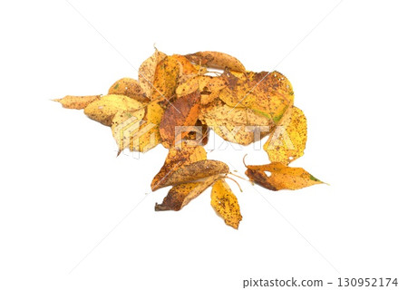 Image of autumn Image of autumn 130952174