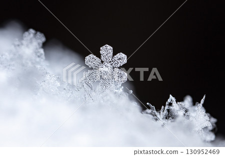 natural snowflakes on snow. the picture is made at a temperature of-10 C  130952469