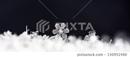 natural snowflakes on snow. the picture is made at a temperature of-10 C natural snowflakes on snow. the picture is made at a temperature of-10 C 130952480