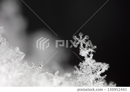 natural snowflakes on snow. the picture is made at a temperature of-10 C natural snowflakes on snow. the picture is made at a temperature of-10 C 130952491
