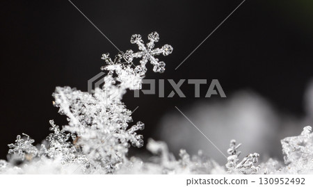 natural snowflakes on snow. the picture is made at a temperature of-10 C natural snowflakes on snow. the picture is made at a temperature of-10 C 130952492