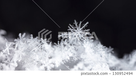 natural snowflakes on snow. the picture is made at a temperature of-10 C natural snowflakes on snow. the picture is made at a temperature of-10 C 130952494