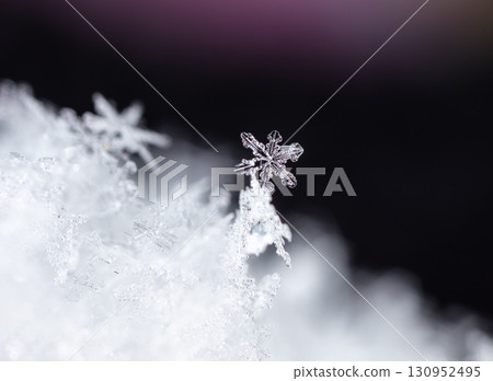natural snowflakes on snow. the picture is made at a temperature of-10 C natural snowflakes on snow. the picture is made at a temperature of-10 C 130952495