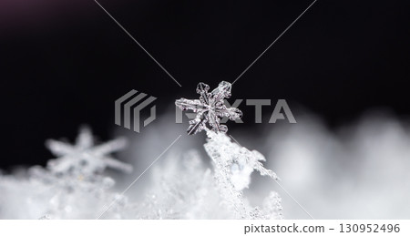 natural snowflakes on snow. the picture is made at a temperature of-10 C natural snowflakes on snow. the picture is made at a temperature of-10 C 130952496