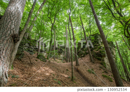 Beautiful green forest Hiking path with Sandstone chalk rock formations in Berdorf Mullerthal Luxembourg 130952534
