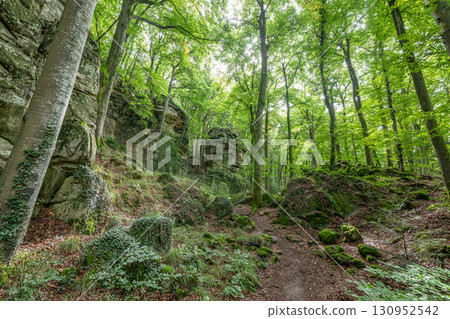 Beautiful green forest Hiking path with Sandstone chalk rock formations in Berdorf Mullerthal Luxembourg Beautiful green forest Hiking path with Sandstone chalk rock formations in Berdorf Mullerthal Luxembourg 130952542