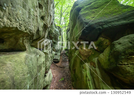 Beautiful green forest Hiking path with Sandstone chalk rock formations in Berdorf Mullerthal Luxembourg 130952549