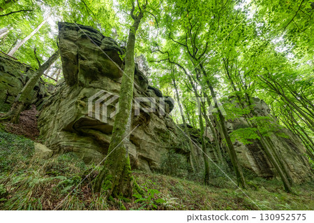 Beautiful green forest Hiking path with Sandstone chalk rock formations in Berdorf Mullerthal Luxembourg 130952575