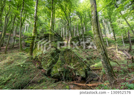 Beautiful green forest Hiking path with Sandstone chalk rock formations in Berdorf Mullerthal Luxembourg 130952576