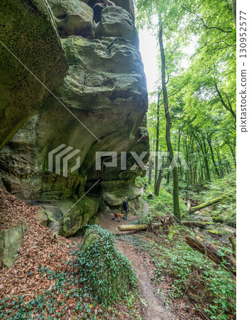 Beautiful green forest Hiking path with Sandstone chalk rock formations in Berdorf Mullerthal Luxembourg 130952577