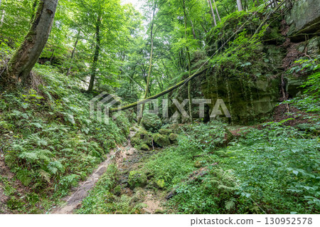 Beautiful green forest Hiking path with Sandstone chalk rock formations in Berdorf Mullerthal Luxembourg 130952578