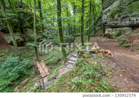 Beautiful green forest Hiking path with Sandstone chalk rock formations in Berdorf Mullerthal Luxembourg 130952579