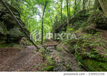 Beautiful green forest Hiking path with Sandstone chalk rock formations in Berdorf Mullerthal Luxembourg 130952589